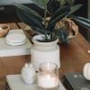 coffee table decorated with books, a potted plant, a candle and other knick-knacks